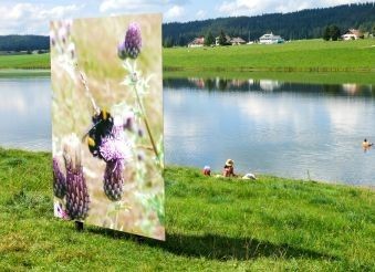 6 nouveaux projets transfrontaliers soutenus par Arcjurassien.org